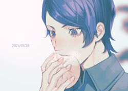 persona fan art