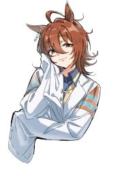 agnes tachyon (tach-nology) (umamusume) from umamusume