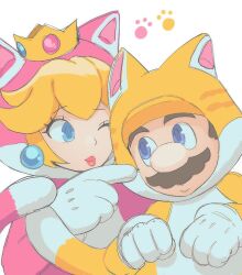 mario from super mario 3d world