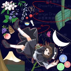 usami renko from touhou