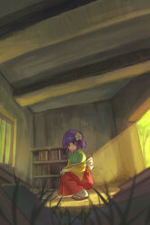 hieda no akyuu from touhou