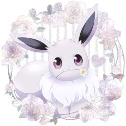 eevee from pokemon