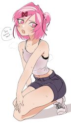 natsuki (doki doki literature club) from doki doki literature club