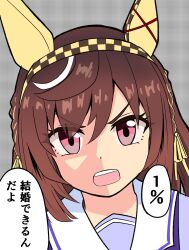 buena vista (umamusume) from umamusume