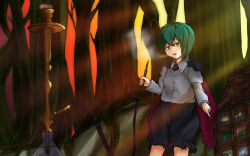 wriggle nightbug from touhou