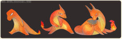 charizard from pokemon