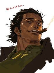 crocodile (one piece) from one piece