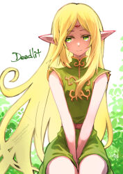 deedlit from record of lodoss war