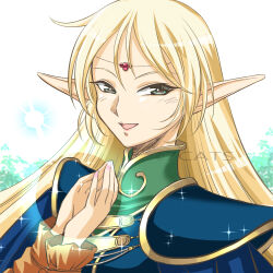deedlit from record of lodoss war