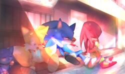 knuckles the echidna from sonic (series)