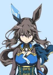 admire vega (umamusume) from umamusume by zukki (bijitaru)