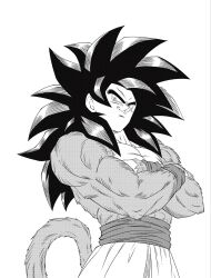 son goku from dragon ball