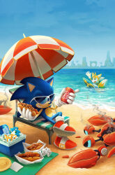 sonic the hedgehog from sonic (series)