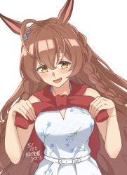mejiro bright (umamusume) from umamusume