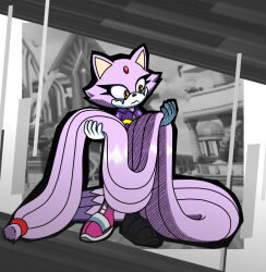 blaze the cat from sonic (series)