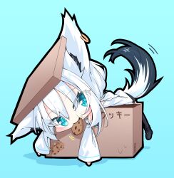 shirakami fubuki from hololive