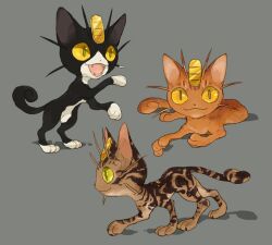 meowth from pokemon