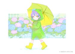 kamishiro rui from project sekai by colorful palette