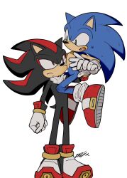 shadow the hedgehog from sonic (series)