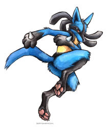 lucario from pokemon