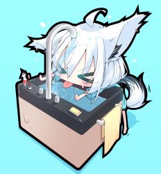 shirakami fubuki from hololive