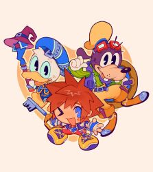donald duck from kingdom hearts