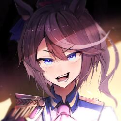 tokai teio (umamusume) from umamusume