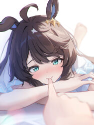 daring tact (umamusume) from umamusume