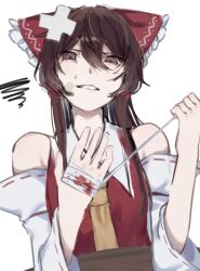 hakurei reimu from touhou