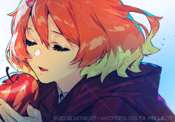 freyja wion from macross