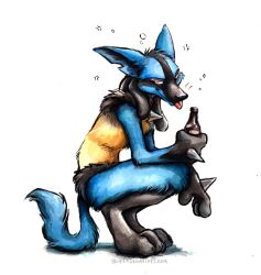 lucario from pokemon