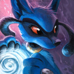 riolu from pokemon