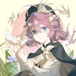 flutterpage from reverse:1999