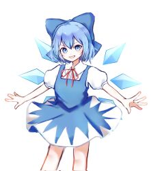 cirno from touhou
