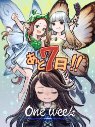 agnes oblige from bravely default: flying fairy