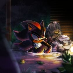 shadow the hedgehog from sonic (series)