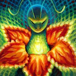 meganium from pokemon