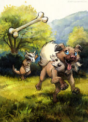 marowak from pokemon