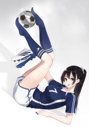 mizuhara chizuru from kanojo okarishimasu