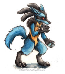 lucario from pokemon