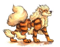 arcanine from pokemon