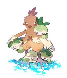 combusken from pokemon