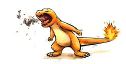 charmander from pokemon