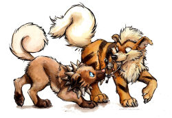 growlithe from pokemon