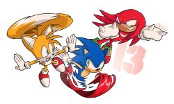 knuckles the echidna from sonic (series)