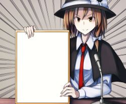 usami renko from touhou by fumei (mugendai)