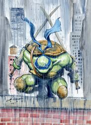 leonardo (tmnt) from teenage mutant ninja turtles