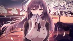 misakura rin from sakura no uta
