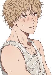 denji (chainsaw man) from chainsaw man