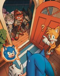 blaze the cat from sonic (series)